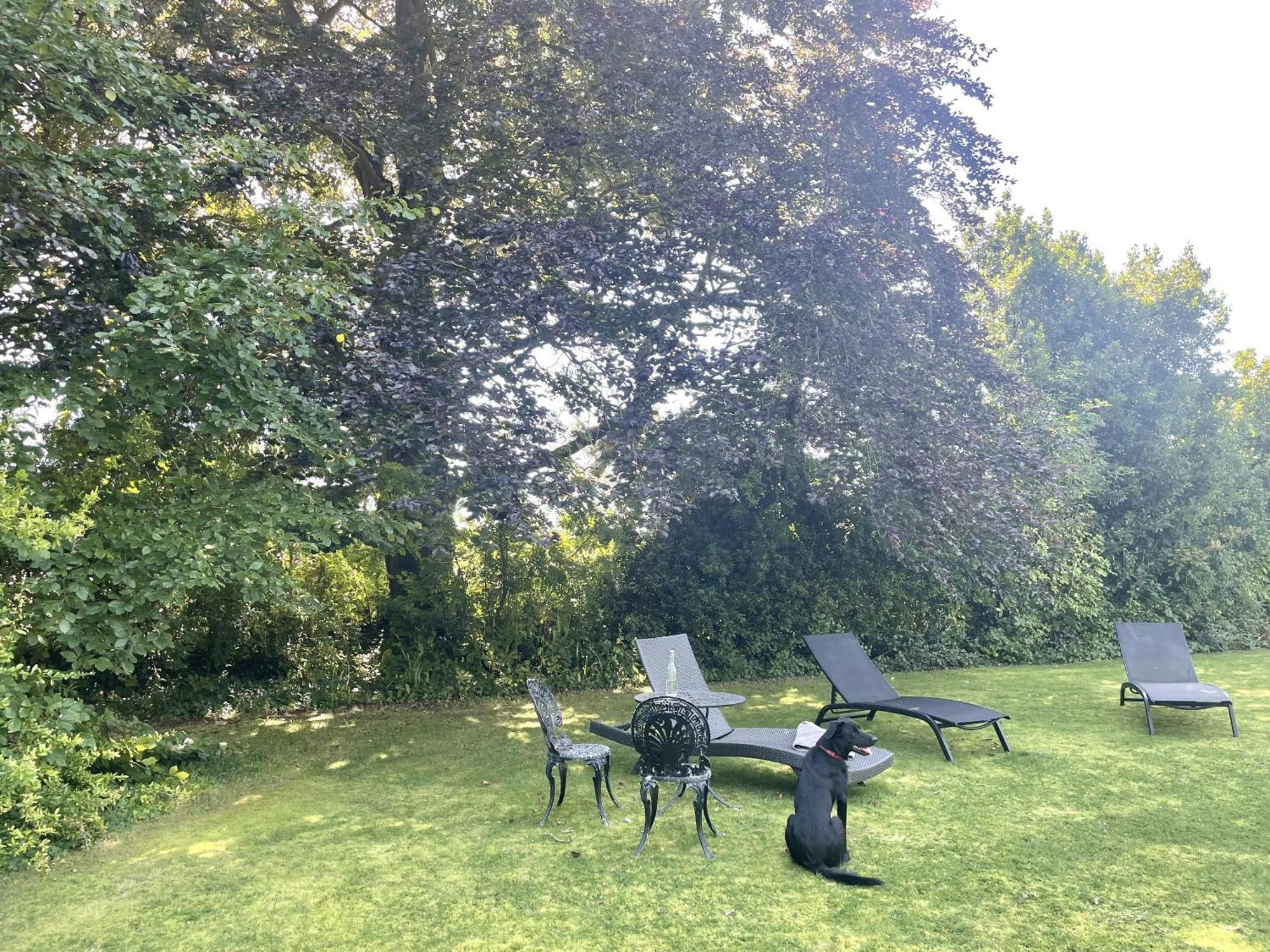 The Mount Somerton Retreat - Nr Bruton, Glastonbury, The Spectacular Wells Cathedral, Millfield School, Leonardo Helicopters, Yeovilton 외부 사진